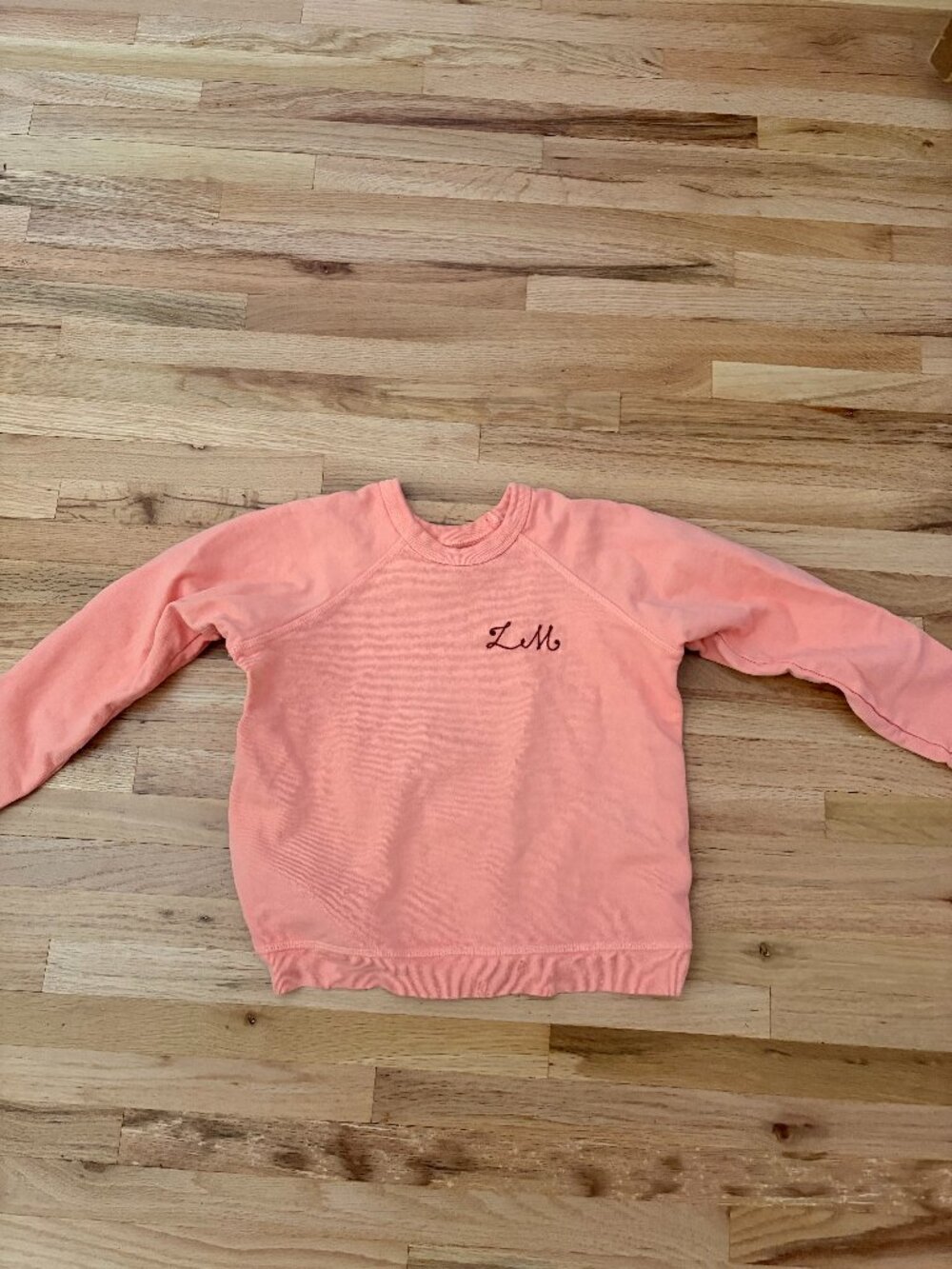 Hey Gang Pink Sweatshirt Kids Size 6/7 Embroidered LM